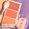 sheglam أحمر خدود sweet cheeks trio enamored 3 clolor powder blush palette يدوم طويلاً وذو صبغة عالية وخدود مطفية خالية من المسام وأحمر خدود يدوم طوال اليوم pink rosa blush حمره بلشر علامة تجارية جمال مكياج ميكب مستحضرات تجميل للنساء الفتيات مثالي لفصل ال 1