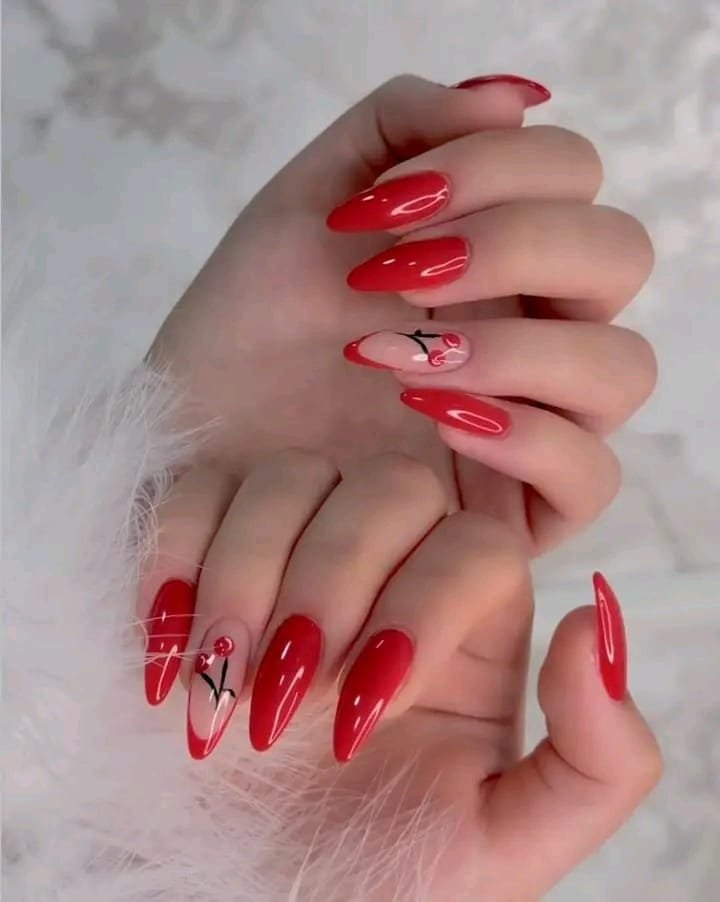 ضوافر 5 ضوافر 5